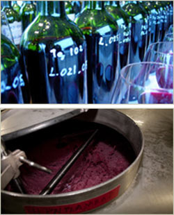 Garnet wine sample bottles and a winemaking scene of maceration