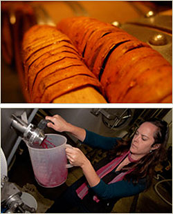 Winemaker Alison Crowe in action on the crushpad